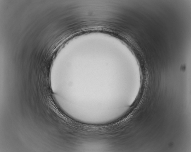 X0000115190969200912091107