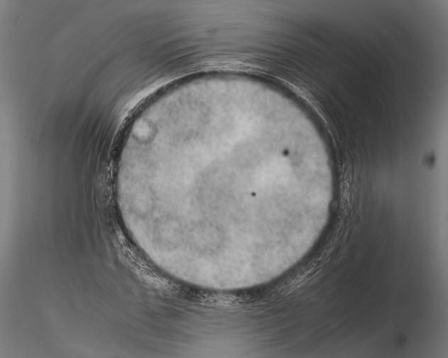 X0000115190971200912091107