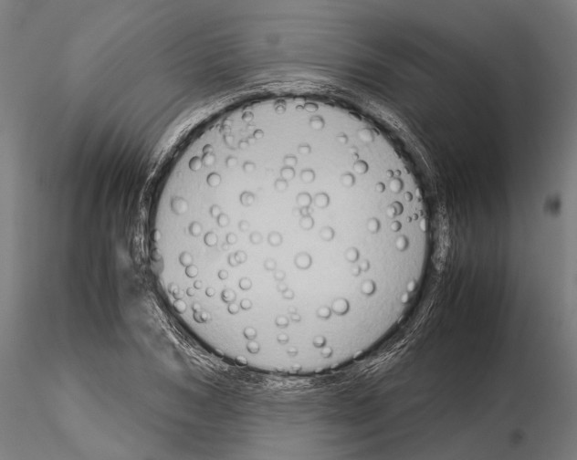 X0000115190978200912091107