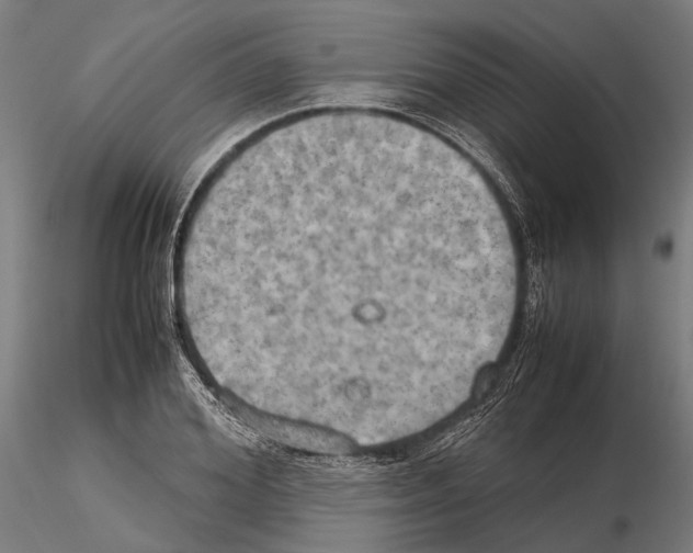 X0000115190980200912091106