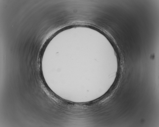 X0000115190981200912091106