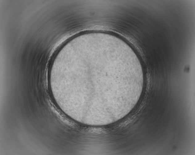 X0000115190982200912091106