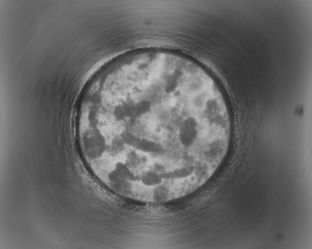 X0000115190983200912091106