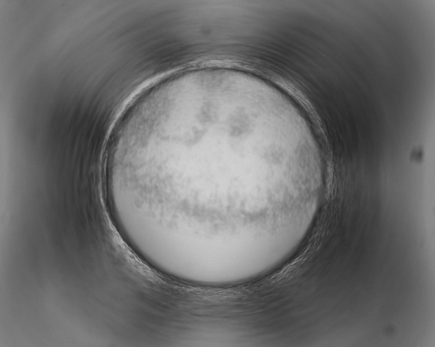 X0000115190984200912091106