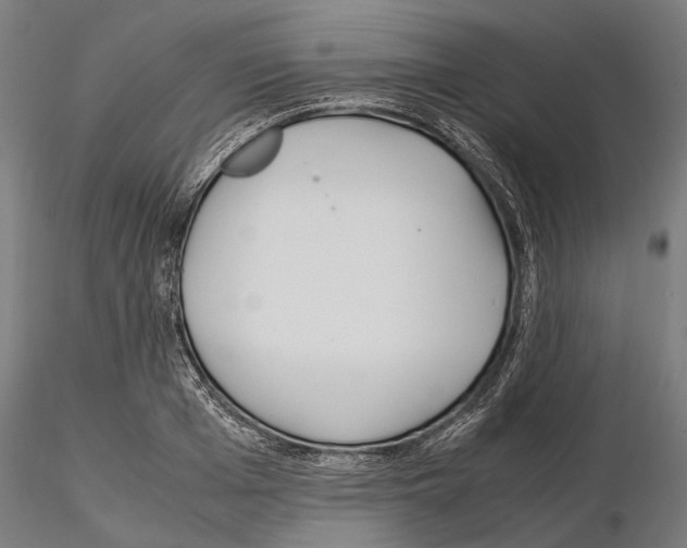 X0000115190985200912091106