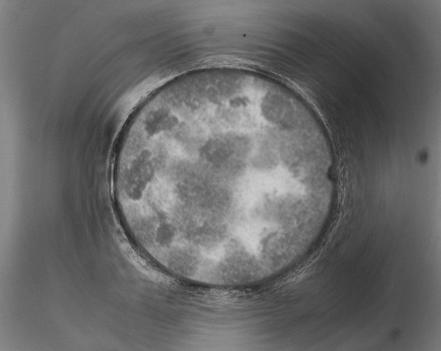 X0000115190987200912091106