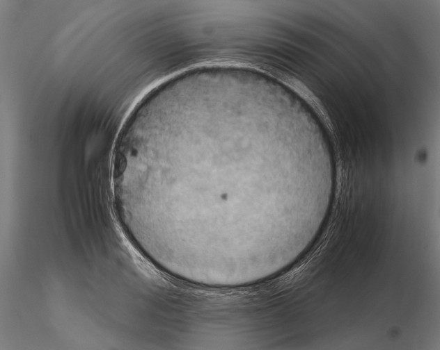 X0000115190988200912091106