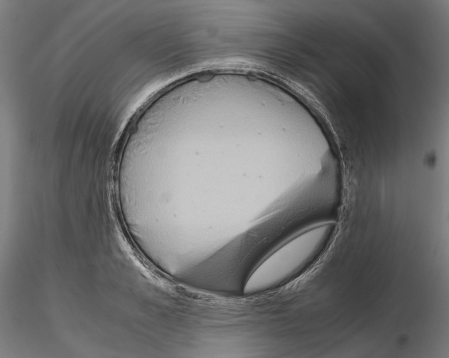 X0000115190989200912091106