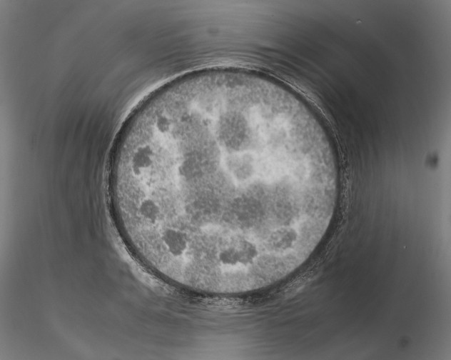 X0000115190991200912091106