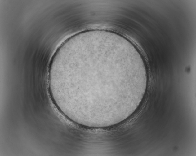 X0000115190992200912091106