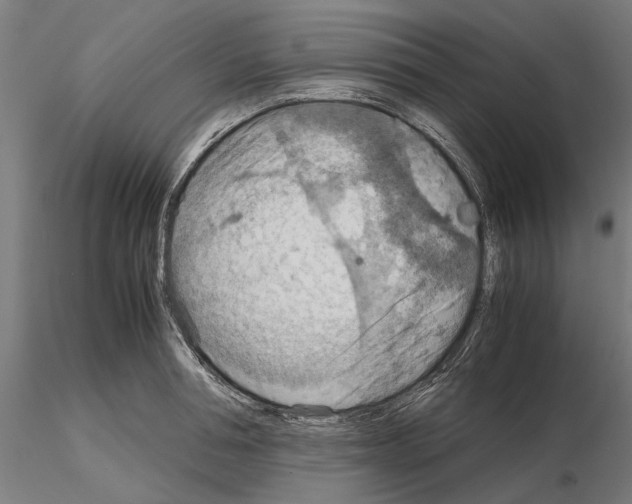 X0000115190994200912091106