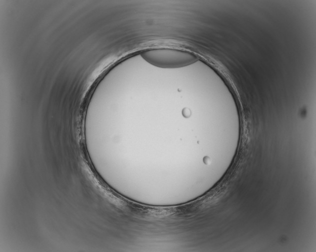 X0000115190997200912091106