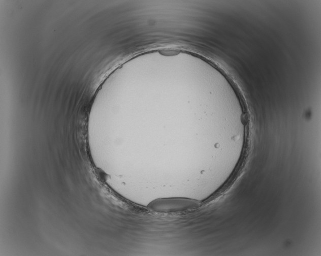 X0000115191001200912091106