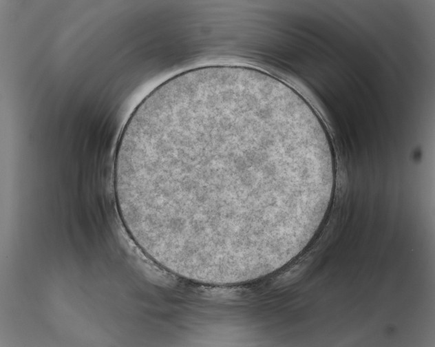 X0000115191004200912091106