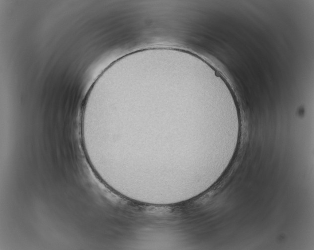 X0000115191006200912091106