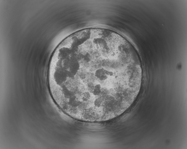 X0000115191007200912091106