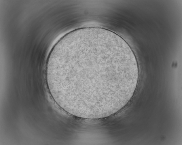 X0000115191008200912091106