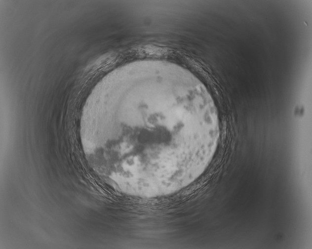 X0000115191009200912091105