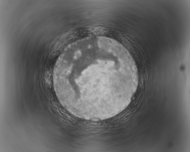 X0000115191010200912091105