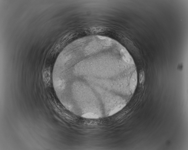 X0000115191011200912091105