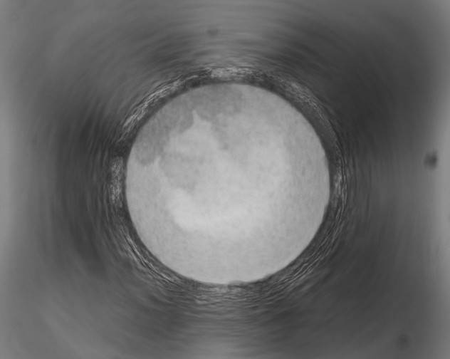 X0000115191012200912091105