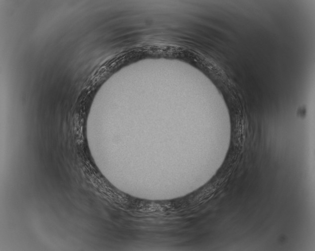 X0000115191013200912091105