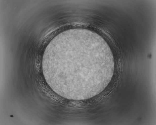 X0000115191015200912091105