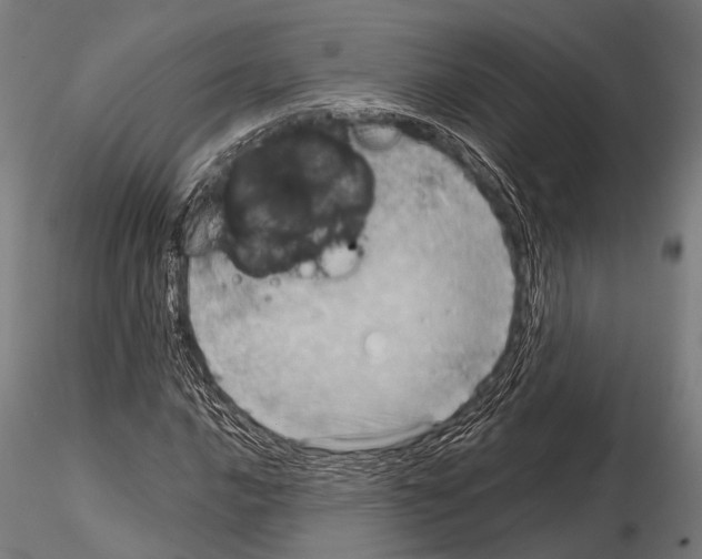 X0000115191016200912091105