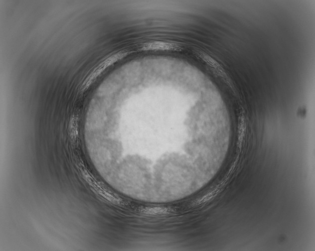 X0000115191017200912091105