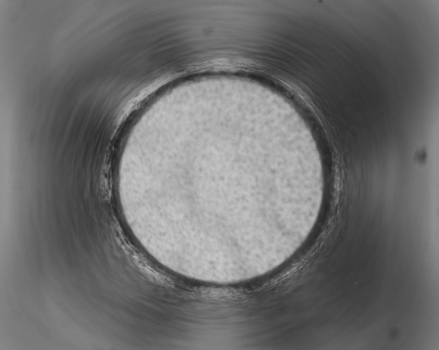 X0000115191018200912091105