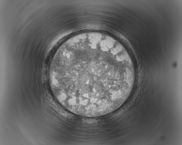 X0000115191019200912091105