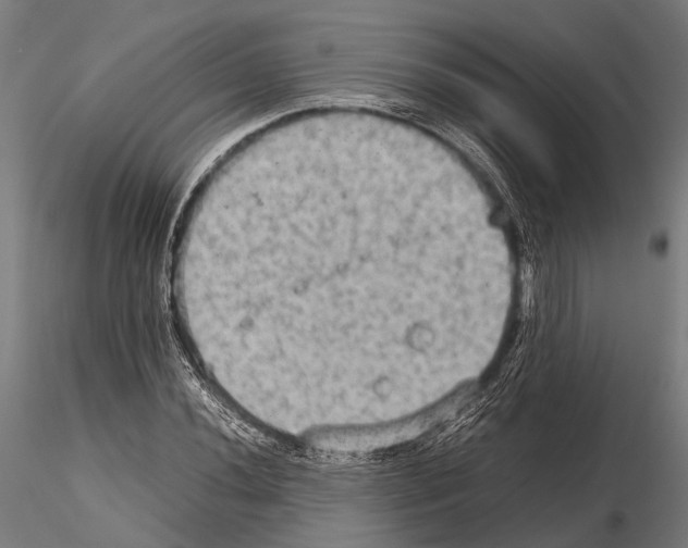 X0000115191020200912091105