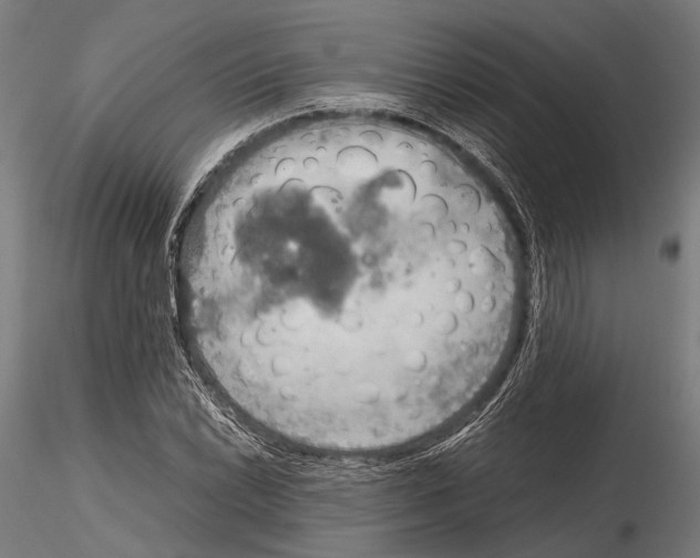 X0000115191022200912091105