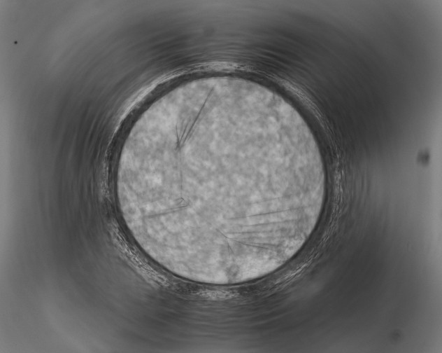 X0000115191023200912091105