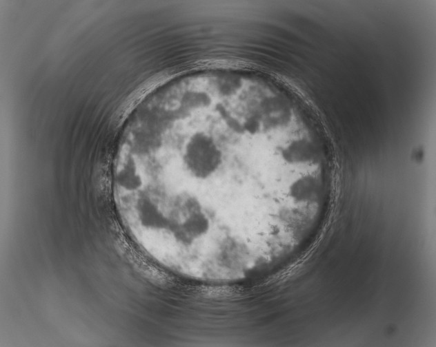 X0000115191025200912091105