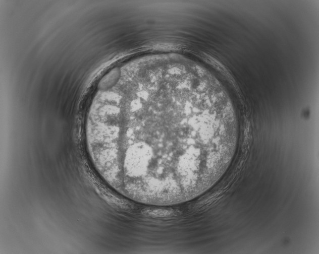 X0000115191027200912091106