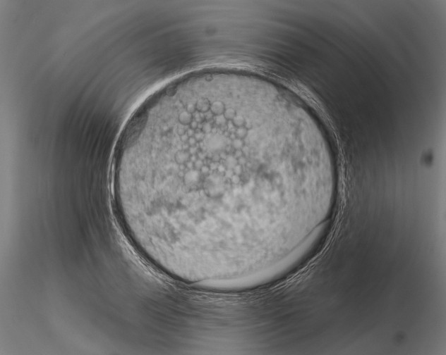 X0000115191028200912091106