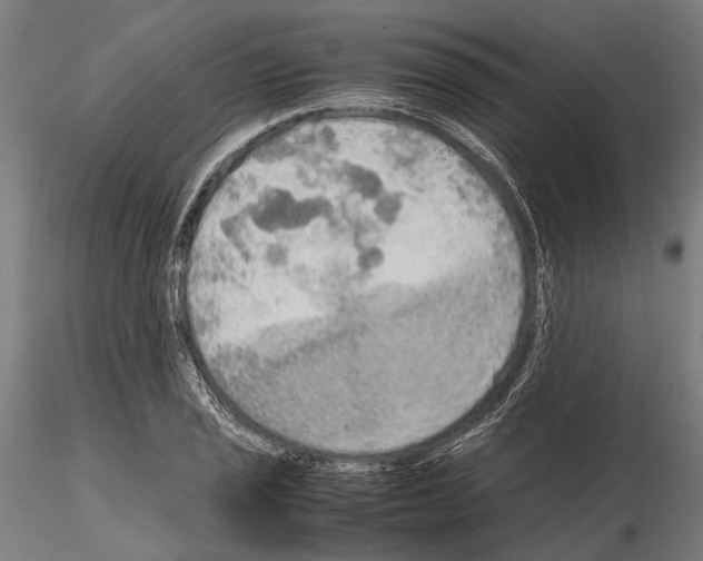 X0000115191029200912091106