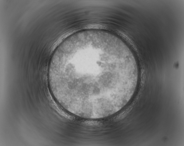 X0000115191033200912091106