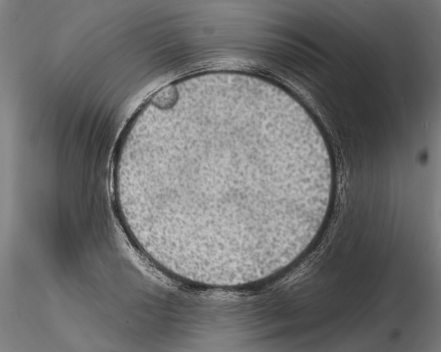 X0000115191034200912091106