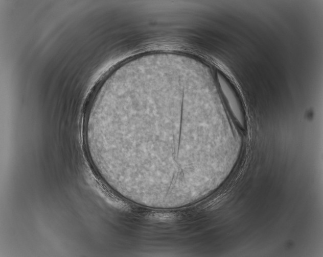 X0000115191035200912091106