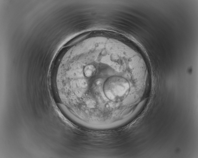 X0000115191037200912091106