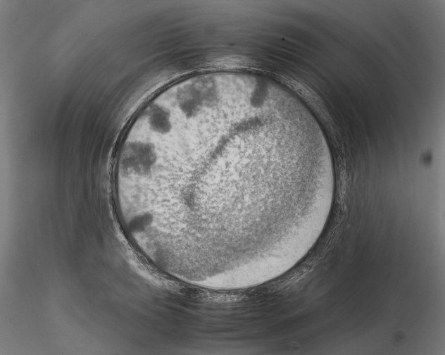 X0000115191039200912091106