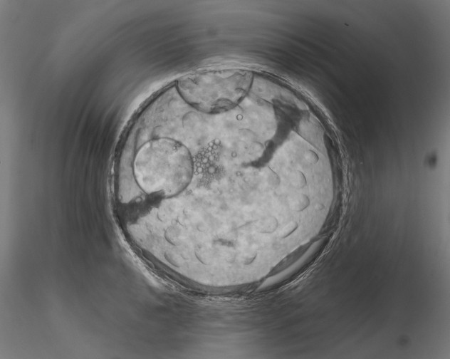 X0000115191040200912091106