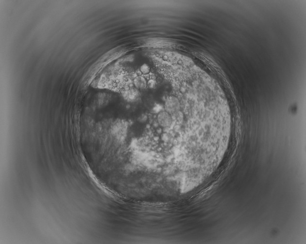 X0000115191041200912091106