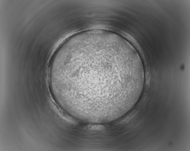 X0000115191043200912091106