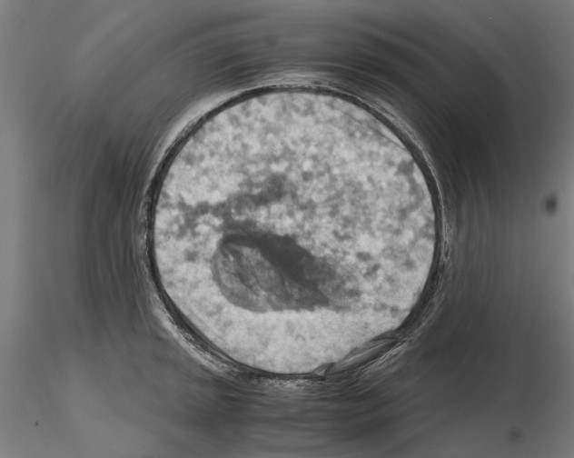 X0000115191045200912091106