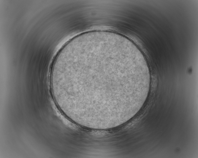 X0000115191046200912091106