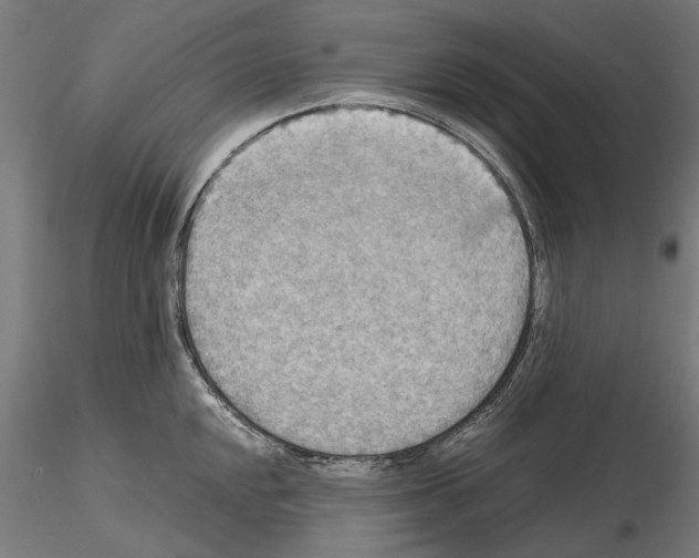 X0000115191048200912091106