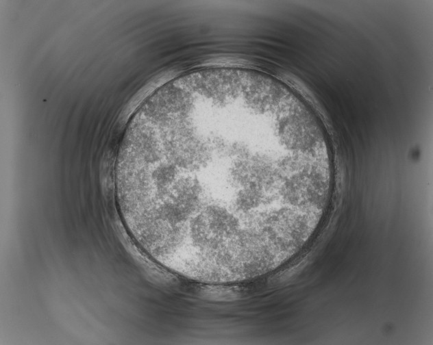 X0000115191049200912091106